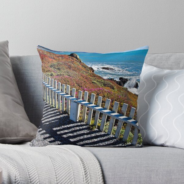 Pacific Coast Throw Pillow