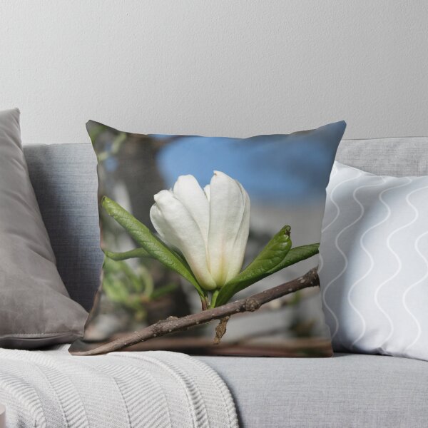 Item preview, NC Spring is finally here! Maybe. #2 designed and sold by Albert1000.