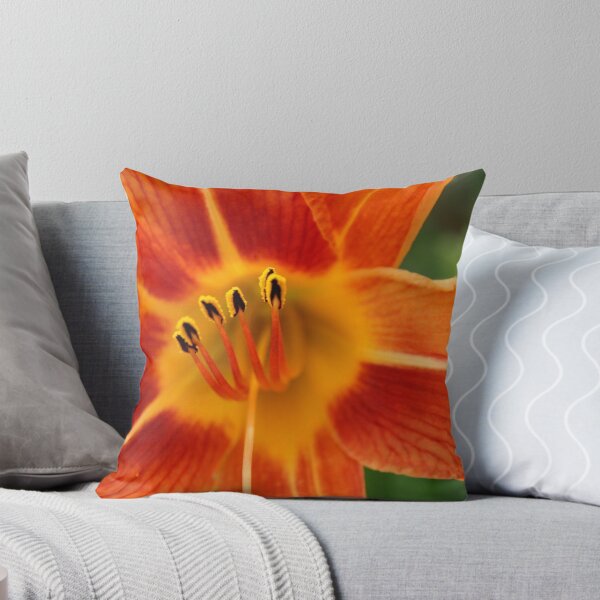 Item preview, Six designed and sold by Debbie Irwin.