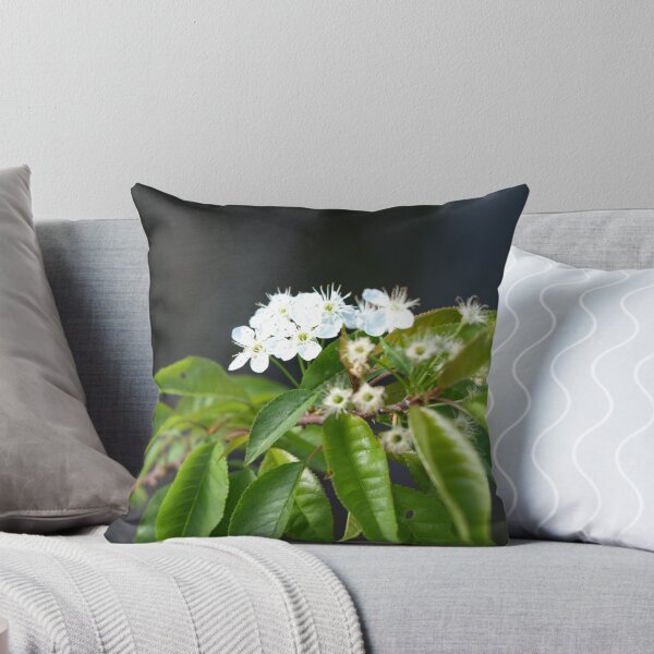 Item preview, flowers designed and sold by Jason LeRue.