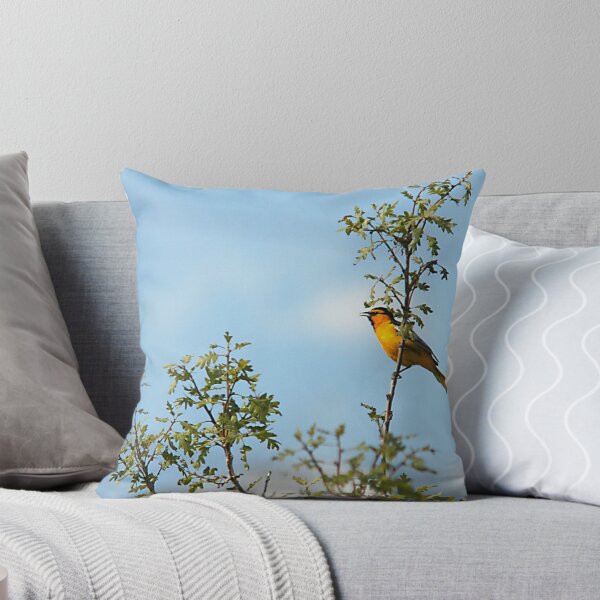 Item preview, Bullock's Oriole - Tree Top designed and sold by Ryan Houston.