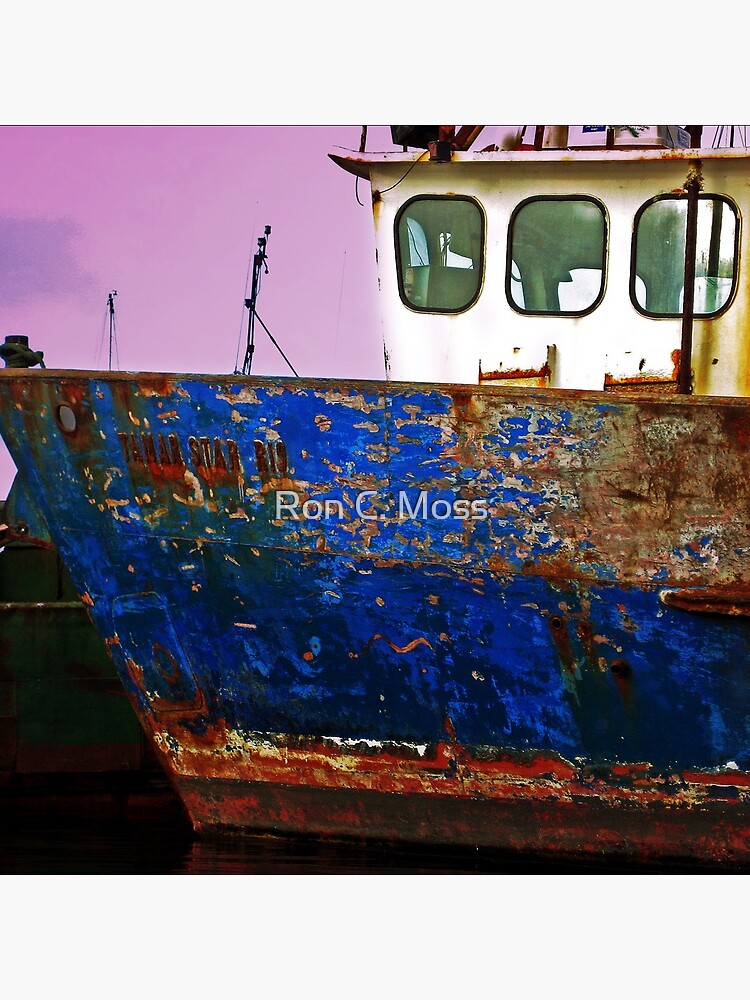 TAMAR STAR by ronmoss