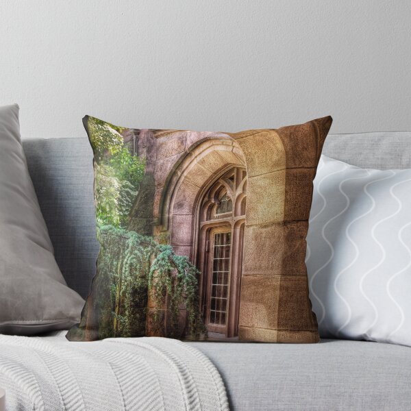Item preview, Through a Window designed and sold by Mike Savad Photography.