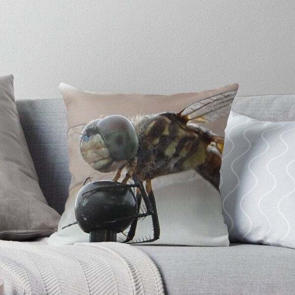Item preview, Old man in a dragonfly. designed and sold by BiGPaPa.