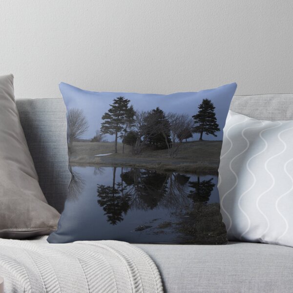 Item preview, Reflections designed and sold by DarrylEPalmer.