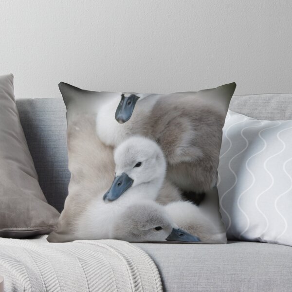 Item preview, Cygnets designed and sold by geoff curtis.