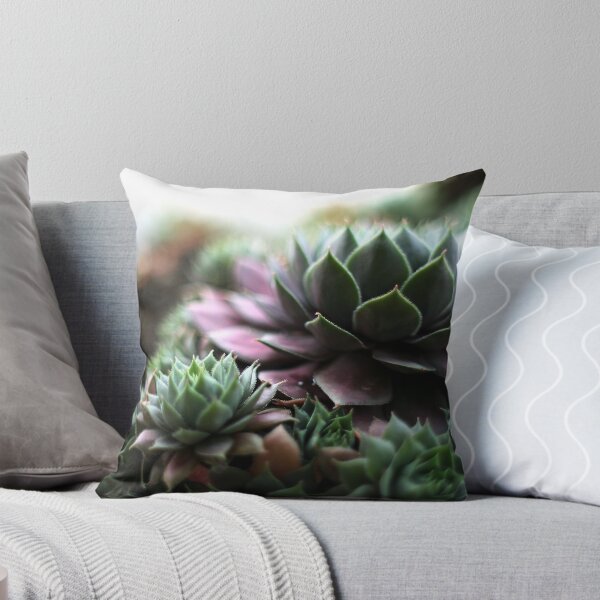 Item preview, Hens and Chicks designed and sold by ANJacobsen.