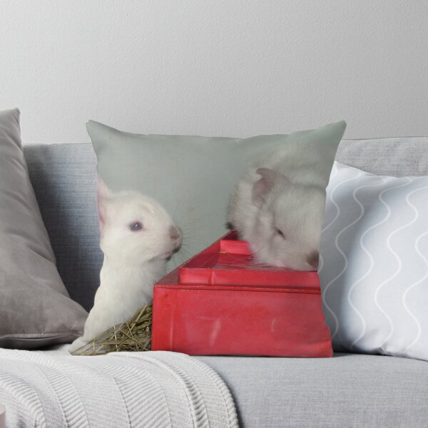 Item preview, "Wanna come and Play?.....No..I'm Sleeping" designed and sold by Madonna McKenna.