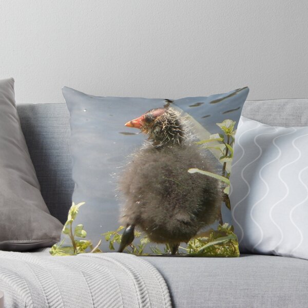 Item preview, So young he is still bald designed and sold by hilarydougill.