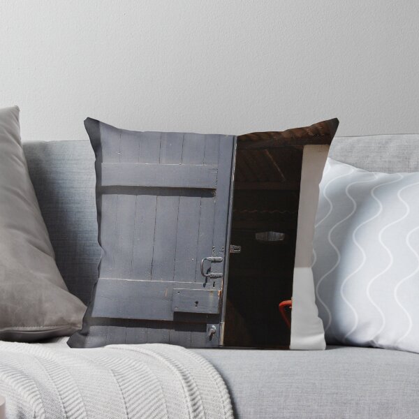 Item preview, Saltram Door designed and sold by OzShell.
