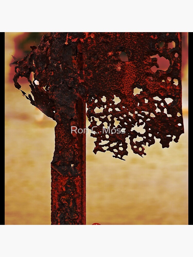Rusted Sign by ronmoss