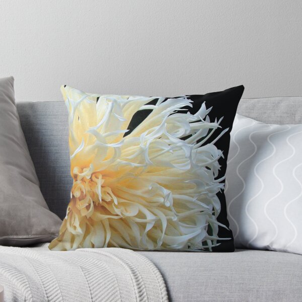 Item preview, Something Special 2 designed and sold by DavidROMAN.