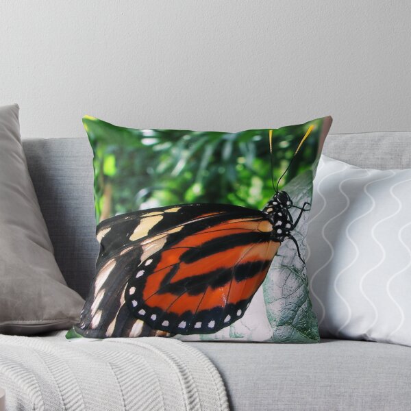 Item preview, Framed With Detail  designed and sold by JulsDesigns.