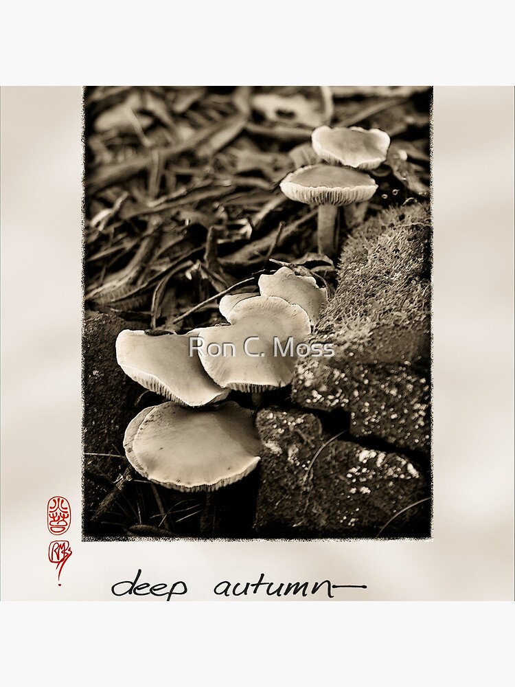 Deep Autumn by ronmoss