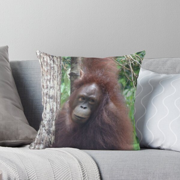 Artikelvorschau, Wild Orang Utan - Danum Valley - Borneo entworfen und verkauft von David Meyer.