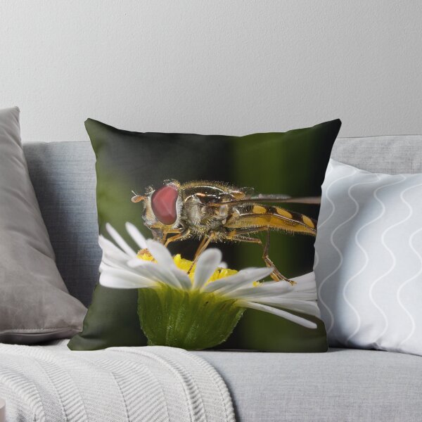 Artikelvorschau, Hoverfly on a Daisy entworfen und verkauft von Greg Carlill.