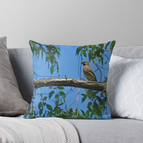 Artikelvorschau, " Cedar Waxwing " entworfen und verkauft von Dave Addison.