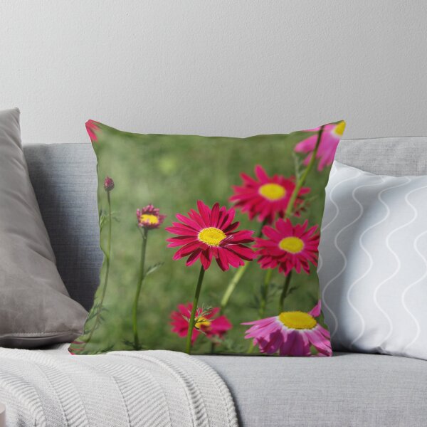 Item preview, NC my flowers #2 designed and sold by Albert1000.