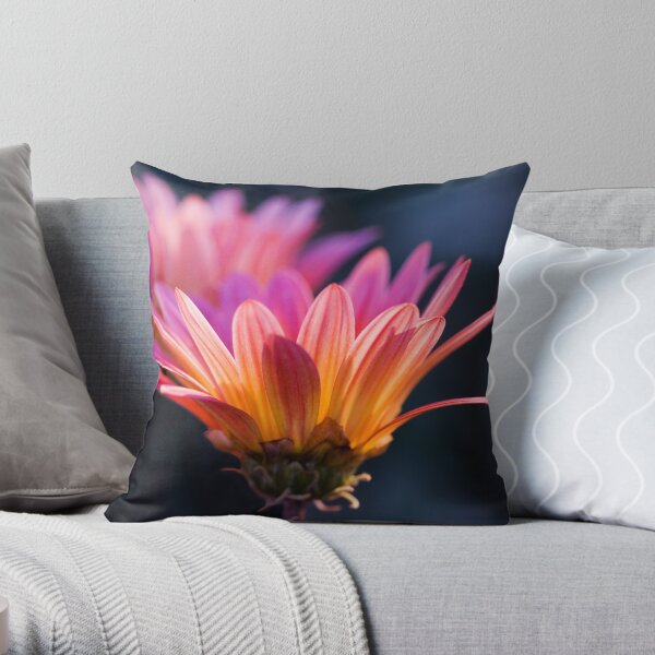 Pastel Peregrination Throw Pillow