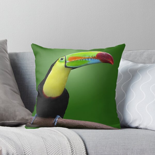 Item preview, TOUCAN - HONDURAS designed and sold by Michael Sheridan.