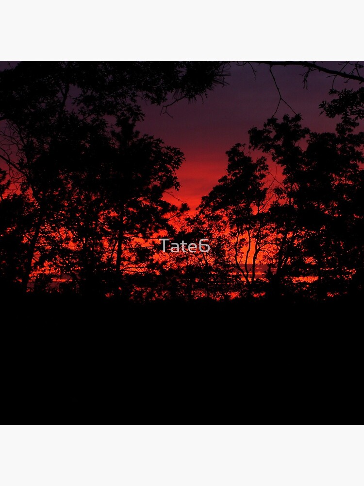Another Day Begins by Tate6