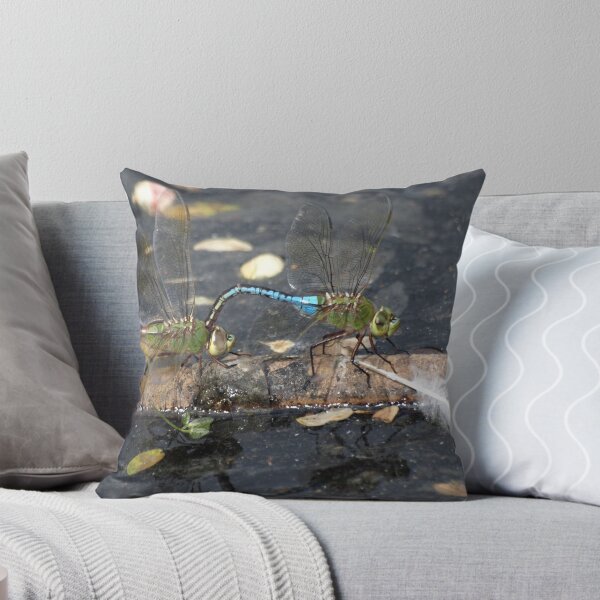 Item preview, Love is in the air... designed and sold by Jimson Carr.