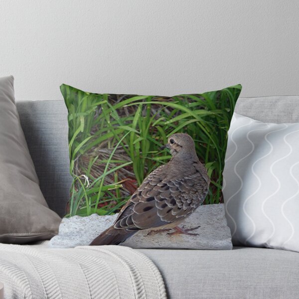 Item preview, Mourning Dove designed and sold by Glenna Walker.