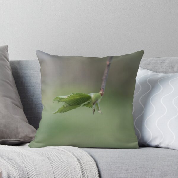 Item preview, Brote designed and sold by William Hixson.