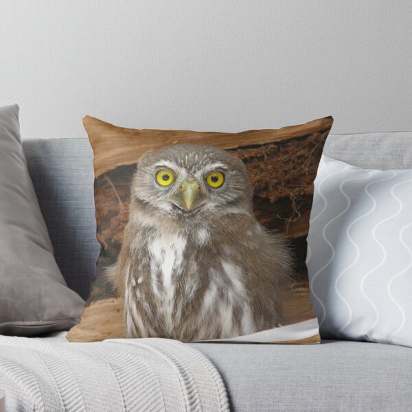 Item preview, Austral pygmie owl designed and sold by MichaelBr.