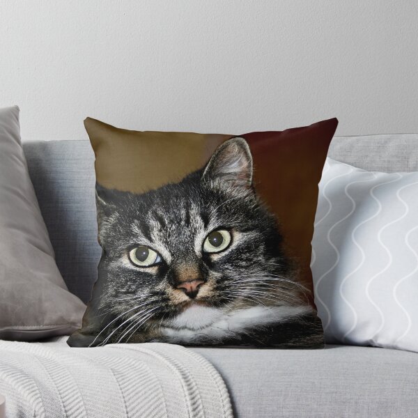 Item preview, Stare Me Down designed and sold by JaneTara Oliver.