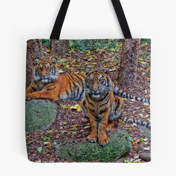 Item preview, Tiger Siblings designed and sold by FuriousEnnui.