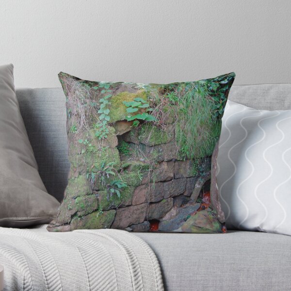 Rock Culvert of the Thomas James Bridge - Great North Road Throw Pillow