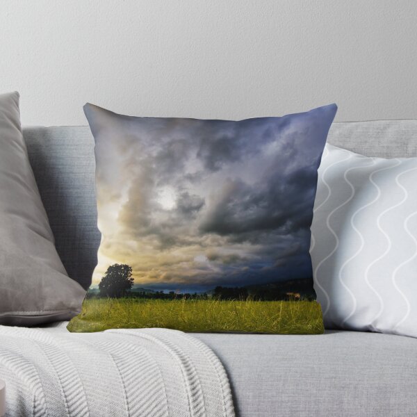 Rainy Days Throw Pillow