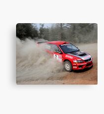 Mitsi Evo Canvas Print