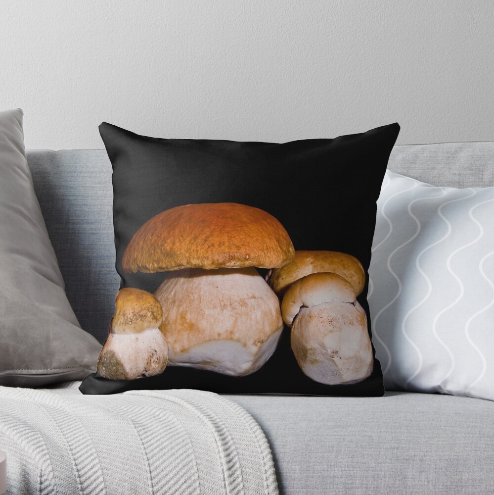 https://ih1.redbubble.net/image.795999401.1997/throwpillow,small,1000x-bg,f8f8f8-c,0,200,1000,1000.jpg