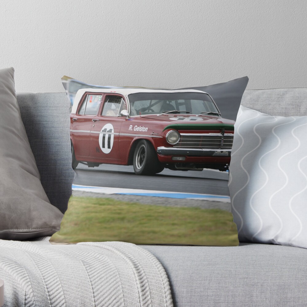 Catch it Throw Pillow