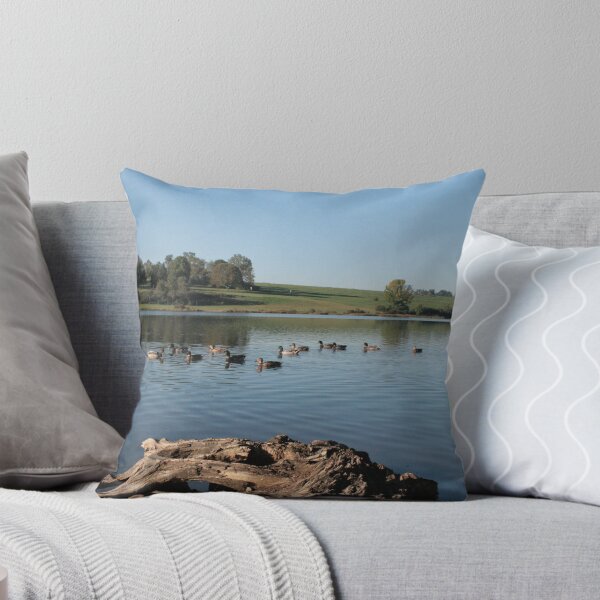 Item preview, Ducks on a pond designed and sold by William Hixson.