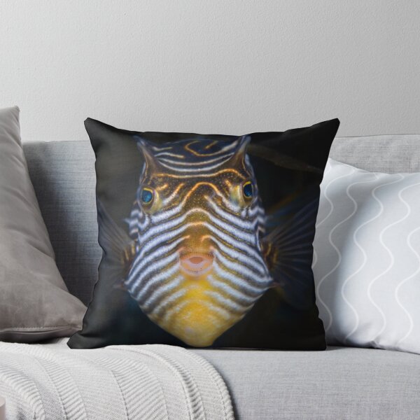 Item preview, Stay still! I want to kiss you.  designed and sold by Stephen Colquitt.