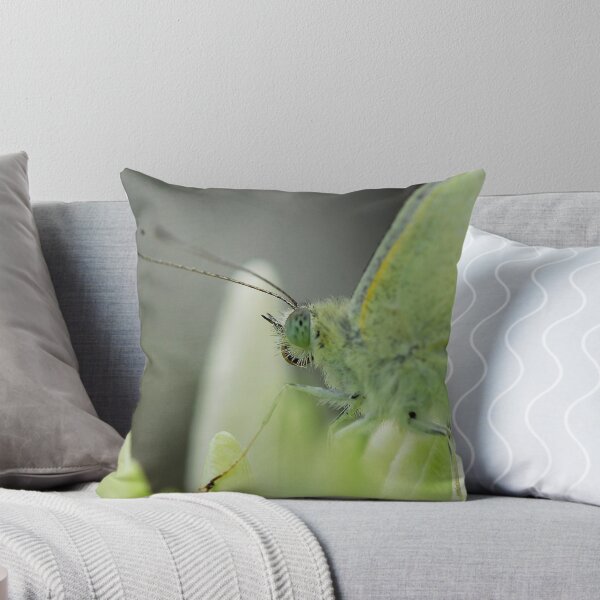 Item preview, Can You Get Any Closer? designed and sold by Michele Duncan IPA.