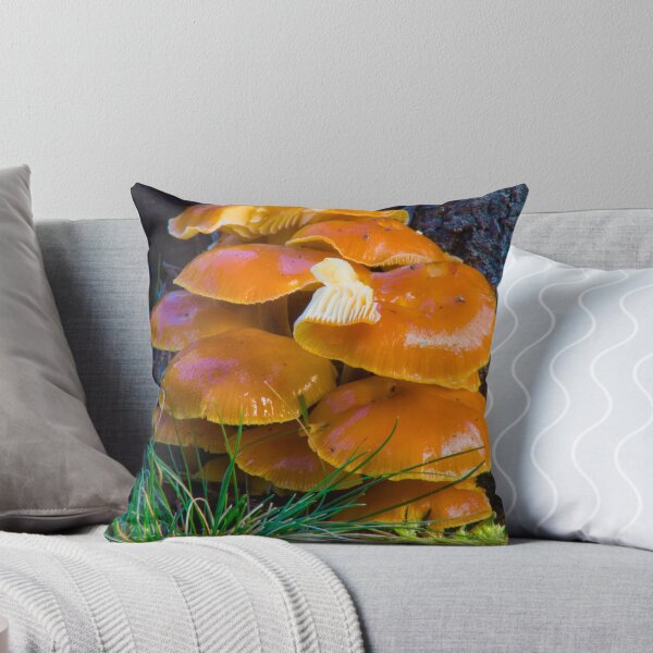 Item preview, Native Fungi designed and sold by strangers.