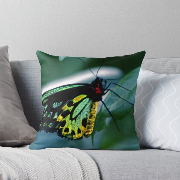 Item preview, Cairns Birdwing designed and sold by Vivid Photography and Designs.