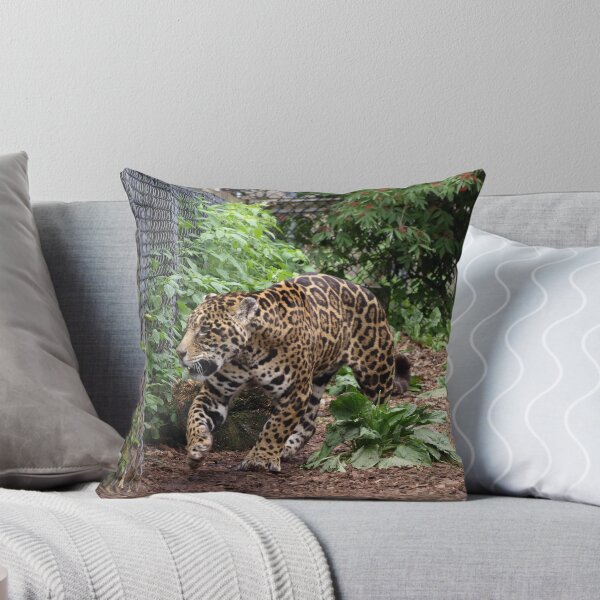Item preview, NC leopard designed and sold by Albert1000.