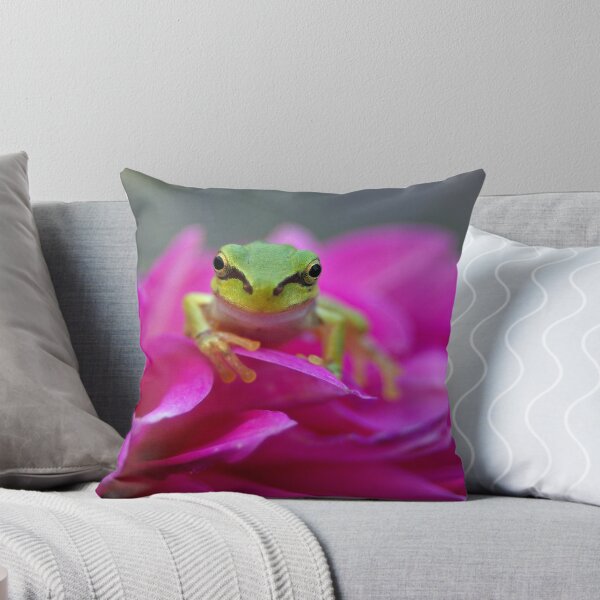 Item preview, Nice to Meet You, Frog designed and sold by PugH00.