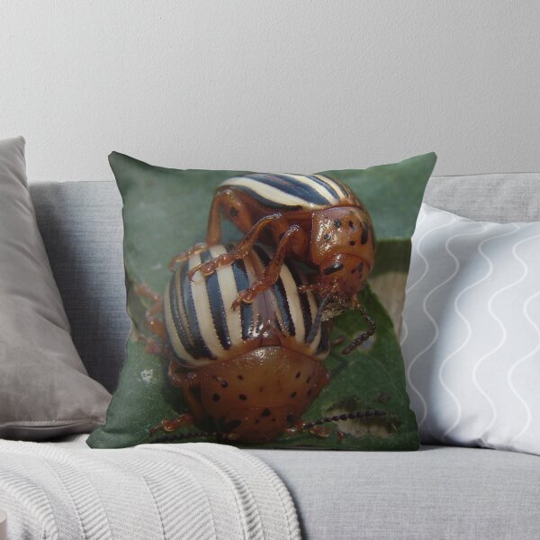 Item preview, Beetle Love  designed and sold by kelleybear.