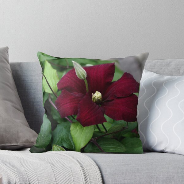 Item preview, Deep Velvet designed and sold by shadyuk.