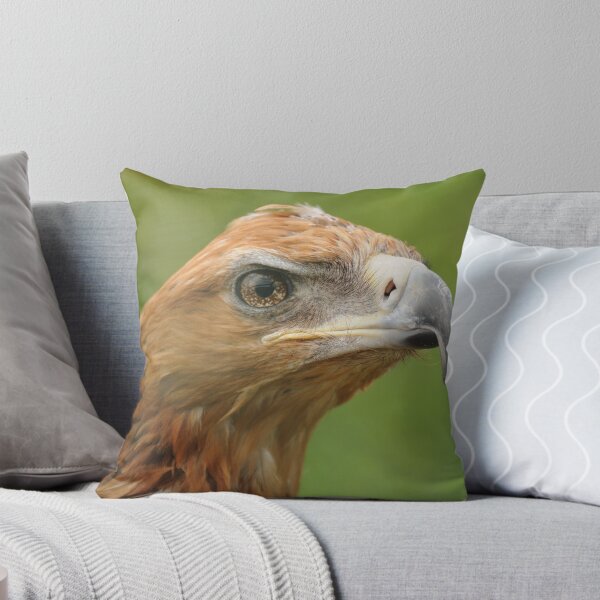 Item preview, Eagle Eyes designed and sold by Charles Howarth.