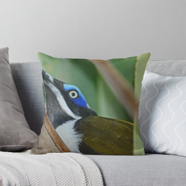 Item preview, Blue-faced Honeyeater designed and sold by Nick Hunt.