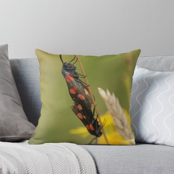 Item preview, Upside Down ....... designed and sold by godders.