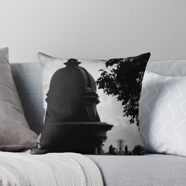 Item preview.