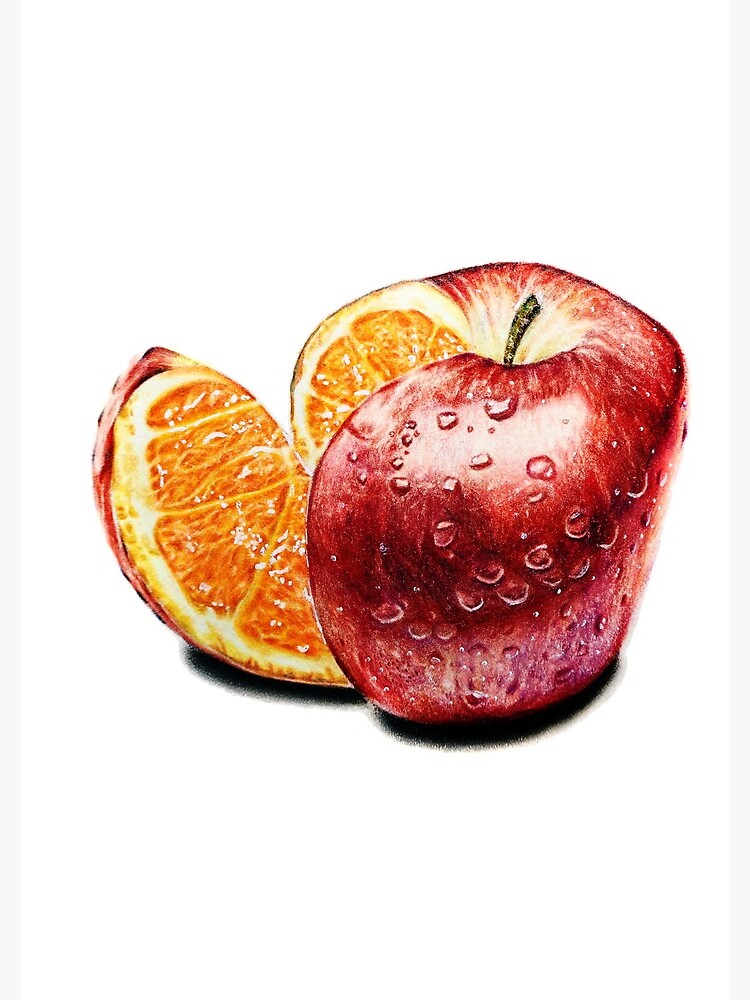 Freakonomics (Color pencil drawing) by SicadaArt